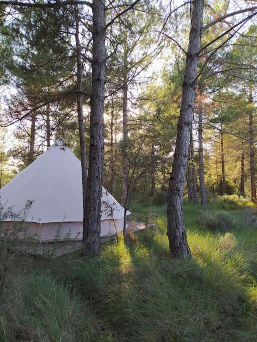 Forest Days Navés Exterior foto